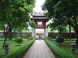 Picture 8