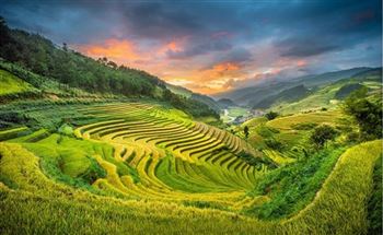 *!<=*ParamsSpilitItems*=>*!Day 2*!<=*ParamsSpilitItems*=>*!NGHIA LO- TU LE- MU CANG CHAI- TAM DUONG*!<=*ParamsSpilitItems*=>*!