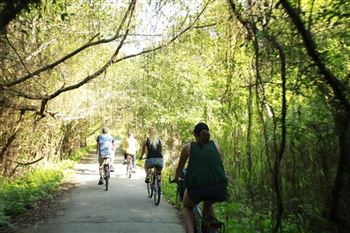 *!<=*ParamsSpilitItems*=>*!Day 3*!<=*ParamsSpilitItems*=>*!BIKING VIET HAI VILLAGE–SHORT TREK*!<=*ParamsSpilitItems*=>*!