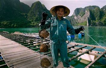 *!<=*ParamsSpilitItems*=>*!Day 3*!<=*ParamsSpilitItems*=>*!Halong Bay – Hanoi (Petit déjeuner et déjeuner)*!<=*ParamsSpilitItems*=>*!