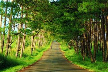 *!<=*ParamsSpilitItems*=>*!Day 4*!<=*ParamsSpilitItems*=>*!PLEIKU- QUI NHON (170km/ 4h of road)*!<=*ParamsSpilitItems*=>*!