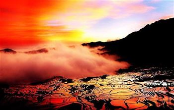*!<=*ParamsSpilitItems*=>*!Day 4*!<=*ParamsSpilitItems*=>*!Yuanyang*!<=*ParamsSpilitItems*=>*!
