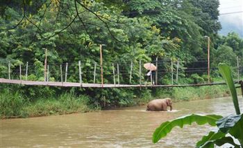 *!<=*ParamsSpilitItems*=>*!Day 13*!<=*ParamsSpilitItems*=>*!Karen village – Lahu Akha village*!<=*ParamsSpilitItems*=>*!