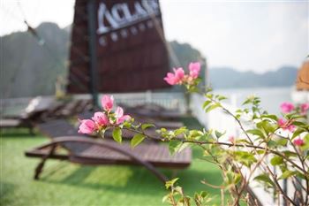 *!<=*ParamsSpilitItems*=>*!Day 1*!<=*ParamsSpilitItems*=>*!Your hotel – Tuan Chau marina - Halong bay - Lunch– Surprising Cave – Titop Island  – Sunset party – Dinner – Onboard night activities*!<=*ParamsSpilitItems*=>*!