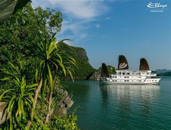 *!<=*ParamsSpilitItems*=>*!Day 2*!<=*ParamsSpilitItems*=>*!HALONG BAY – HANOI*!<=*ParamsSpilitItems*=>*!