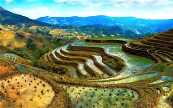 *!<=*ParamsSpilitItems*=>*!Day 12*!<=*ParamsSpilitItems*=>*!Departure Kunming *!<=*ParamsSpilitItems*=>*!