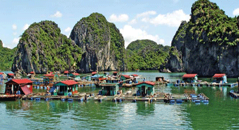 *!<=*ParamsSpilitItems*=>*!Day 2*!<=*ParamsSpilitItems*=>*!HA LONG BAY - HANOI (B, L)*!<=*ParamsSpilitItems*=>*!