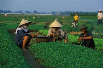 *!<=*ParamsSpilitItems*=>*!Day 6*!<=*ParamsSpilitItems*=>*!Vam – Xam Khoe – Mai Chau *!<=*ParamsSpilitItems*=>*!