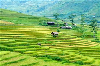 *!<=*ParamsSpilitItems*=>*!Day 3*!<=*ParamsSpilitItems*=>*!Hoa Binh – Mai Chau *!<=*ParamsSpilitItems*=>*!