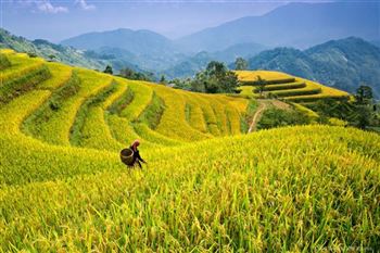 *!<=*ParamsSpilitItems*=>*!Day 3*!<=*ParamsSpilitItems*=>*!Nghia Lo – Tu Le – Mu Cang Chai – Than Uyen – Binh Lu – Tam Duong*!<=*ParamsSpilitItems*=>*!