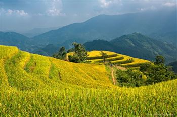*!<=*ParamsSpilitItems*=>*!Day 4*!<=*ParamsSpilitItems*=>*!Mai Chau – Son La – Dien Bien*!<=*ParamsSpilitItems*=>*!