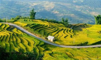*!<=*ParamsSpilitItems*=>*!Day 5*!<=*ParamsSpilitItems*=>*!Dien Bien – Phong Tho – Tam Duong*!<=*ParamsSpilitItems*=>*!
