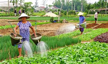 *!<=*ParamsSpilitItems*=>*!Day 13*!<=*ParamsSpilitItems*=>*!Hoi An – Tra Nhieu- Tra Que - Hoi An*!<=*ParamsSpilitItems*=>*!