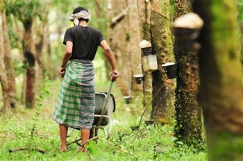 *!<=*ParamsSpilitItems*=>*!Day 16*!<=*ParamsSpilitItems*=>*!Pleiku - Buon Ma Thuot*!<=*ParamsSpilitItems*=>*!