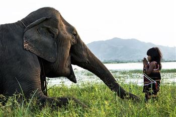 *!<=*ParamsSpilitItems*=>*!Day 17*!<=*ParamsSpilitItems*=>*!Buon Ma Thuot – Dray Sap –De Don Village*!<=*ParamsSpilitItems*=>*!