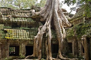 *!<=*ParamsSpilitItems*=>*!Day 13*!<=*ParamsSpilitItems*=>*!Visit of Siem Reap *!<=*ParamsSpilitItems*=>*!