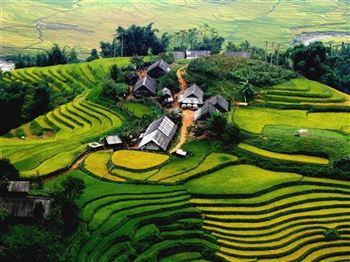 *!<=*ParamsSpilitItems*=>*!Day 6*!<=*ParamsSpilitItems*=>*!Sapa – Y Linh Ho - Lao Chai - Ta Van *!<=*ParamsSpilitItems*=>*!