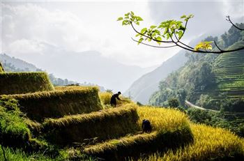*!<=*ParamsSpilitItems*=>*!Day 9*!<=*ParamsSpilitItems*=>*!Ha Giang – Quan Ba – Yen Minh – Dong Van*!<=*ParamsSpilitItems*=>*!