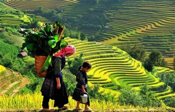 *!<=*ParamsSpilitItems*=>*!Day 6*!<=*ParamsSpilitItems*=>*!Sa Pa- Y Linh Ho- Lao Chai- Ta Van- Sapa*!<=*ParamsSpilitItems*=>*!