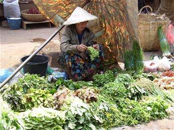 *!<=*ParamsSpilitItems*=>*!Day 4*!<=*ParamsSpilitItems*=>*!LUANG PRABANG – OUDOMXAY*!<=*ParamsSpilitItems*=>*!