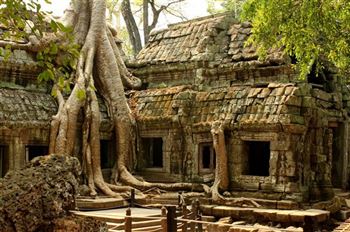*!<=*ParamsSpilitItems*=>*!Day 2*!<=*ParamsSpilitItems*=>*!Siem Reap*!<=*ParamsSpilitItems*=>*!