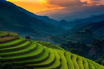 *!<=*ParamsSpilitItems*=>*!Day 8*!<=*ParamsSpilitItems*=>*!Sa Pa- Y Linh Ho- Lao Chai- Ta Van-  Lao Cai – Night train for Hanoi*!<=*ParamsSpilitItems*=>*!