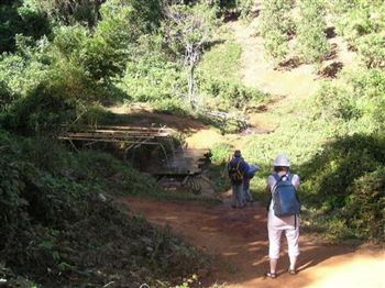 *!<=*ParamsSpilitItems*=>*!Day 5*!<=*ParamsSpilitItems*=>*!Sihanoukville*!<=*ParamsSpilitItems*=>*!