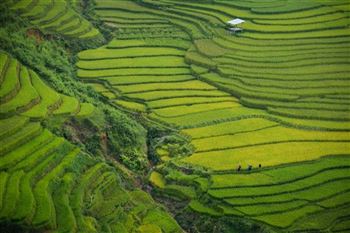 *!<=*ParamsSpilitItems*=>*!Day 4*!<=*ParamsSpilitItems*=>*!Mai Chau – Yen Chau – Na Pa*!<=*ParamsSpilitItems*=>*!