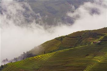 *!<=*ParamsSpilitItems*=>*!Day 6*!<=*ParamsSpilitItems*=>*!Sa Pa- Y Linh Ho- Lao Chai- Ta Van- Sapa*!<=*ParamsSpilitItems*=>*!