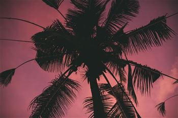*!<=*ParamsSpilitItems*=>*!Day 1*!<=*ParamsSpilitItems*=>*!Arrival in Bali*!<=*ParamsSpilitItems*=>*!