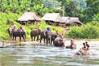 *!<=*ParamsSpilitItems*=>*!Day 21*!<=*ParamsSpilitItems*=>*!Luang Prabang – Stroll on an elephant’s back*!<=*ParamsSpilitItems*=>*!