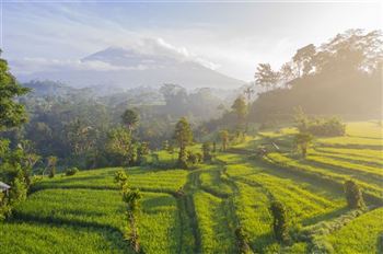 *!<=*ParamsSpilitItems*=>*!Excursion 3*!<=*ParamsSpilitItems*=>*!Besakih Mother temple (towards north of Bali)*!<=*ParamsSpilitItems*=>*!