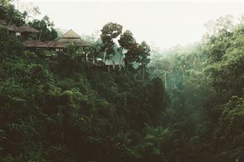 *!<=*ParamsSpilitItems*=>*!Day 4*!<=*ParamsSpilitItems*=>*!Dambulla / Matale / Kandy*!<=*ParamsSpilitItems*=>*!