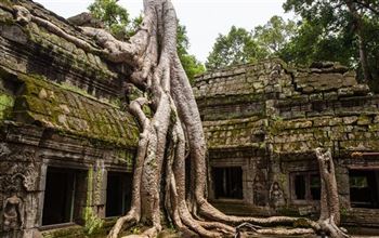 *!<=*ParamsSpilitItems*=>*!Day 12*!<=*ParamsSpilitItems*=>*!Phnom Penh – Flight for Siem Reap (Angkor) *!<=*ParamsSpilitItems*=>*!