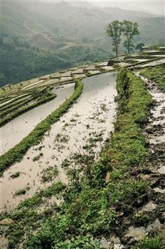 *!<=*ParamsSpilitItems*=>*!Day 4*!<=*ParamsSpilitItems*=>*!Mai Chau – Hoa Lu – Tam Coc*!<=*ParamsSpilitItems*=>*!