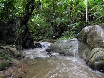 *!<=*ParamsSpilitItems*=>*!Day 12*!<=*ParamsSpilitItems*=>*!Chiang Mai – Mok Fah waterfall – Karen village*!<=*ParamsSpilitItems*=>*!
