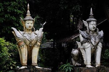 *!<=*ParamsSpilitItems*=>*!Day 6*!<=*ParamsSpilitItems*=>*!Chiang Mai*!<=*ParamsSpilitItems*=>*!