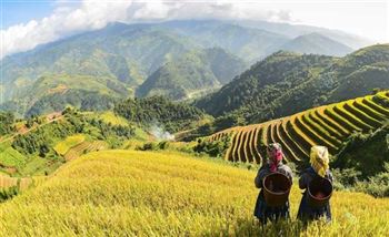 *!<=*ParamsSpilitItems*=>*!Day 5*!<=*ParamsSpilitItems*=>*!Sa Pa- Y Linh Ho- Lao Chai- Ta Van- Sapa*!<=*ParamsSpilitItems*=>*!