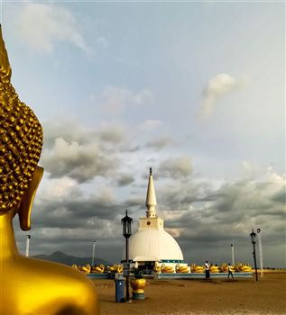 *!<=*ParamsSpilitItems*=>*!Day 8*!<=*ParamsSpilitItems*=>*!Dambulla / Matale / Kandy	*!<=*ParamsSpilitItems*=>*!