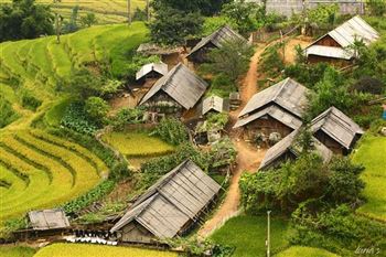 *!<=*ParamsSpilitItems*=>*!Day 4*!<=*ParamsSpilitItems*=>*!SA PA- TA VAN- LAO CHAI- SA PA- LAO CAI- Night train for HANOI (340km/ 7-8h train)*!<=*ParamsSpilitItems*=>*!