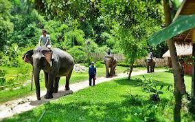 *!<=*ParamsSpilitItems*=>*!Day 22*!<=*ParamsSpilitItems*=>*!Luang Prabang – Return flight*!<=*ParamsSpilitItems*=>*!